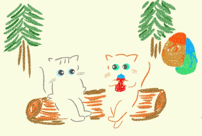 森でお茶を楽しむ猫たち